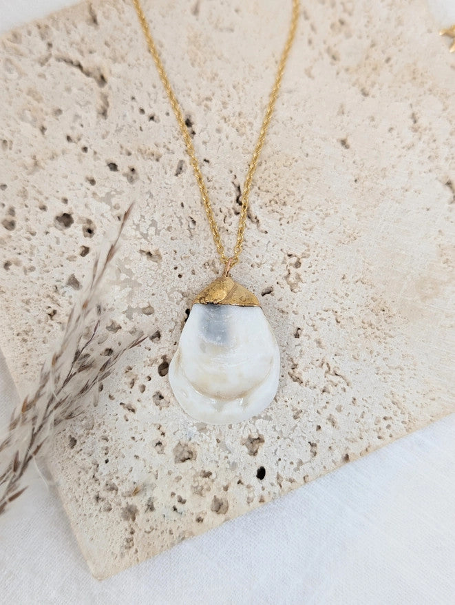 a delicate gold chain with a real oyster shell charm that is dipped in 14k gold where is attaches to the chain