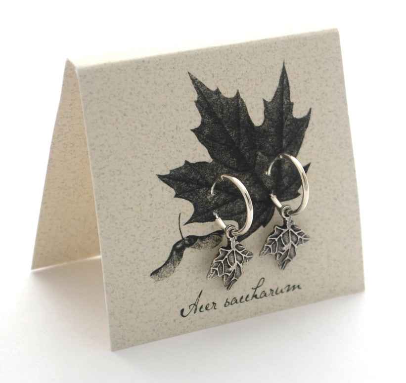 silver maple hoop earrings on an off white backer card printed with a black and gray illustration of a maple leaf