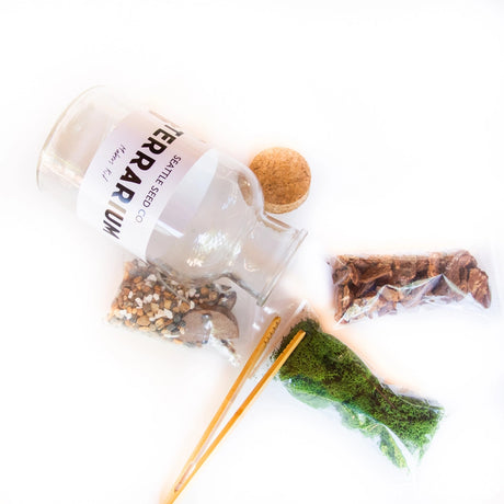 Jar Terrarium with Soil and Moss Garden Crafts Kit