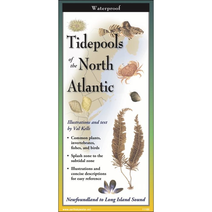 Cover image of Tidepools of the North Atlantic folding guide with illustrations of common plants, invertebrates, fishes, and birds found in cold water tidepools against a map of the coast from the Long Island Sound up to Newfoundland
