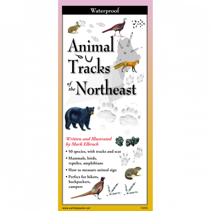Cover of the folding guide titled 'Animal Tracks of the Northeast,' featuring illustrations of various animal tracks on a tan background with paw prints and guide title