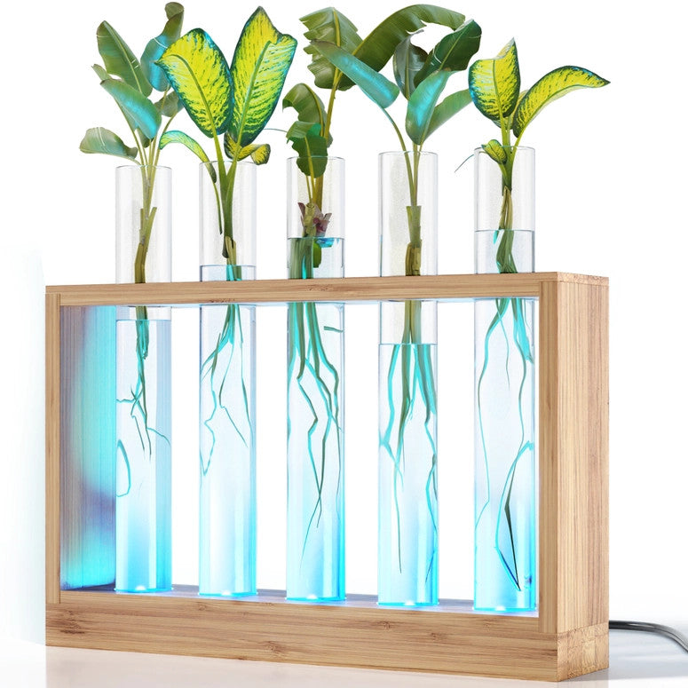 The air planter with the LED lights on giving a blue glow to the glass plant vials