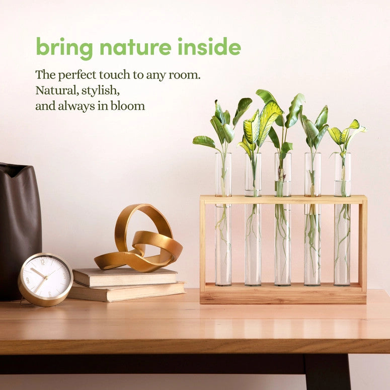 the air planter on top of a shelf with other decorative items to show that the planter itself adds to the decor of any space