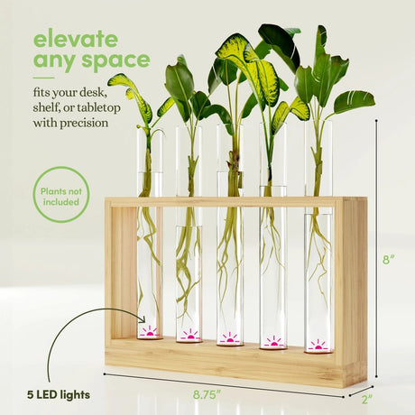 the air planter against a white background with plants in each of the five vials with graphics showing the measurements: 8.75" wide, 2" deep, 8" high, text and arrows pointing to the base of the vials that reads "5 LED lights", and the text "Elevate any space, fits your desk, shelf, or tabletop with precision - plants not included"