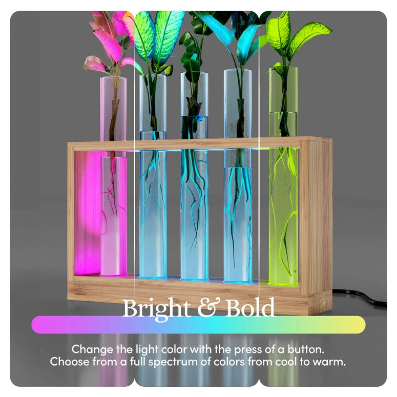 The air planter with the LED lights on - the photo is split into three sections to show the range of colors available for the lights including pink, blue, and green