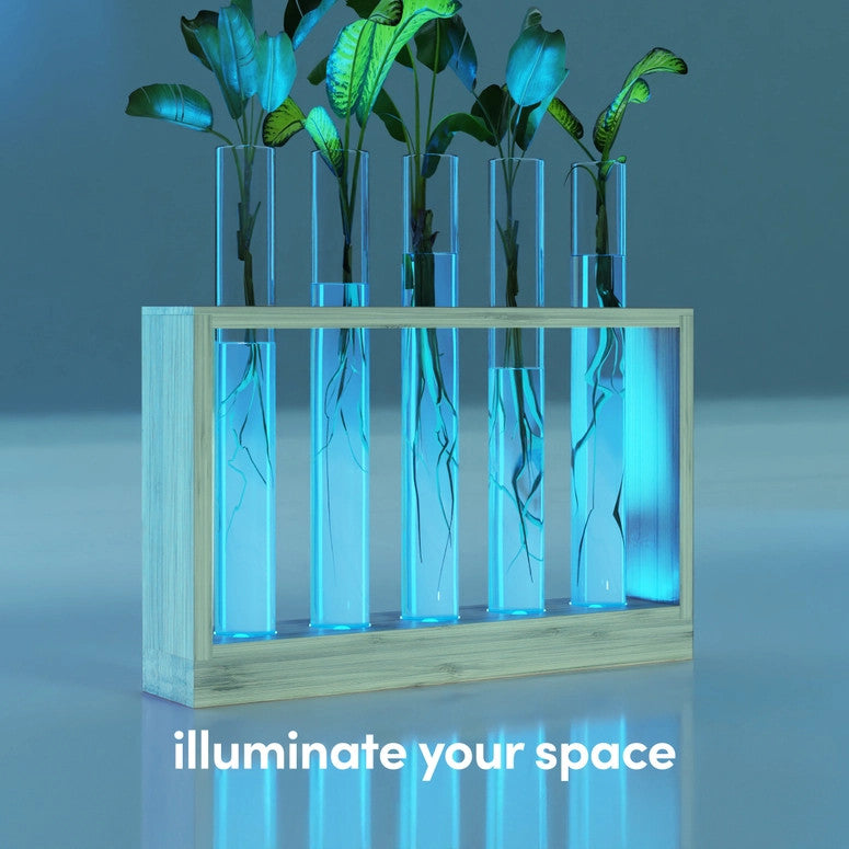 The air planter in a dark room with the LED lights on giving a blue glow to the glass plant vials with text that reads "illuminate your space"