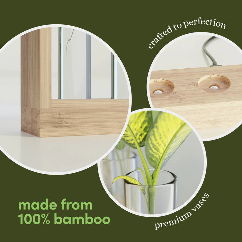 a graphic showing close up details of the air planter - a circle zoomed in on the well crafted details of the bamboo showing the quality of the wood and a close up of the glass vials