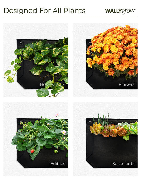 a graphic showing 4 pockets filled with different plants to show the planter's versatility: Houseplants, Flowers, Edibles, and Succulents