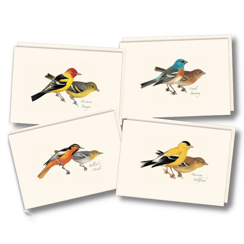 the four notecards in the peterson western bird notecard assortment