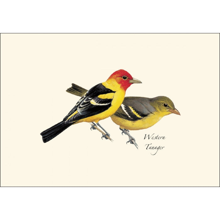 a close up of the art on one of the notecards featuring an illustration of a male and female western tanger