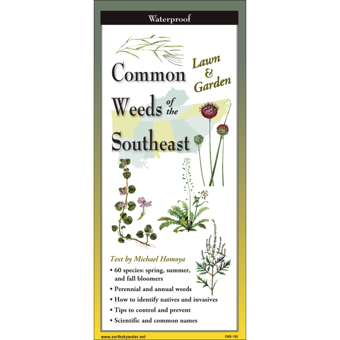 The cover image of Common Weeds of the Southeast folding guide featuring a selection of illustrations of weeds against a map of the Southeastern US states