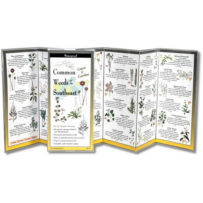 The Common Weeds of the Southeast folding guide unfolded and upright, accordion style, showing the contents of the guide, which has illustrations of weeds with printed information on weeds