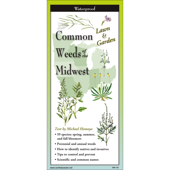 The cover image of Common Weeds of the Midwest folding guide featuring a selection of illustrations of weeds against a map of the Midwestern US states