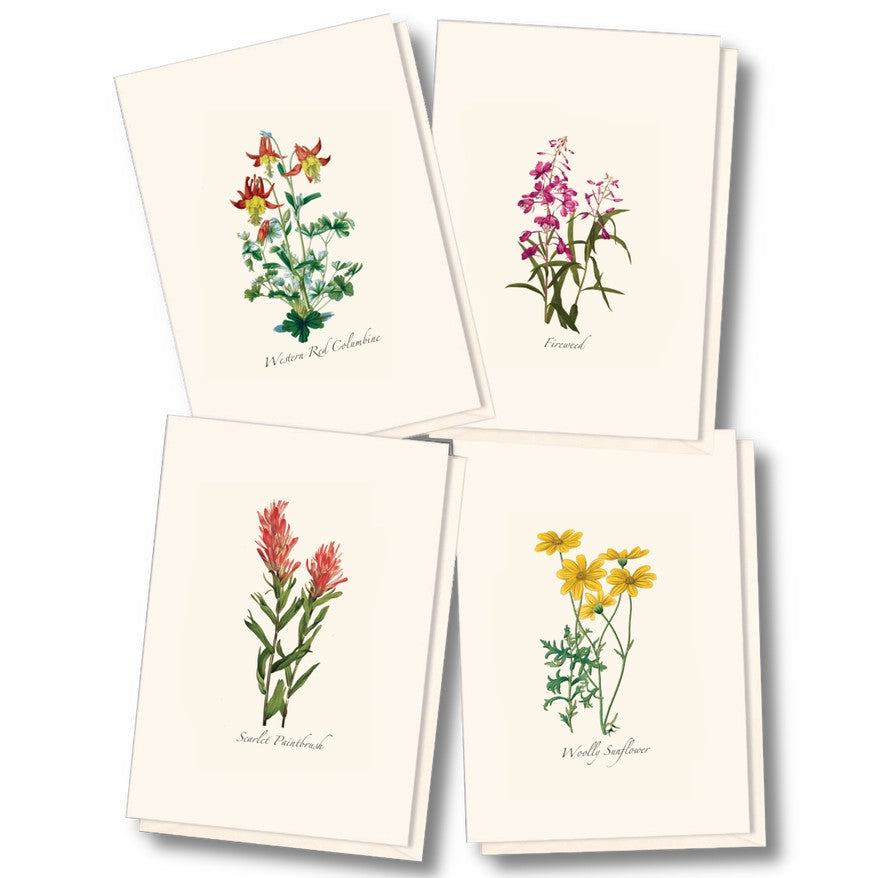 the four card designs in the western wildflower assortment
