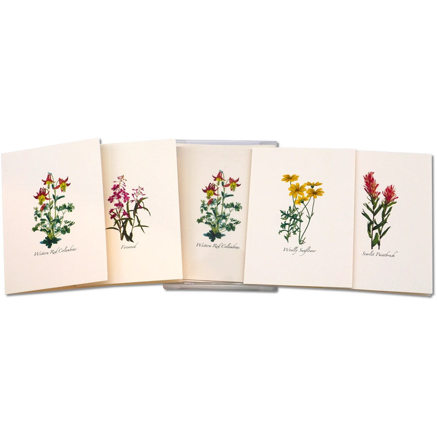 a spread of 5 of the notecards in the western wildflower assortment