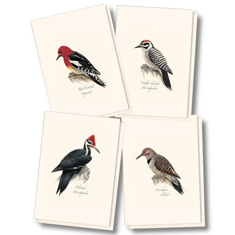 the four notecards in the peterson woodpecker notecard assortment