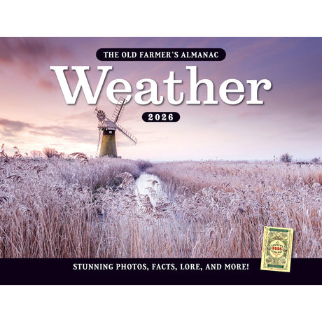 Gift Guide: The Storm Chaser