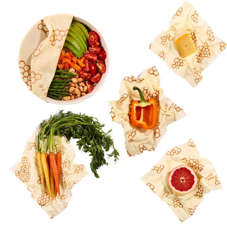 Eco-Friendly Food Storage