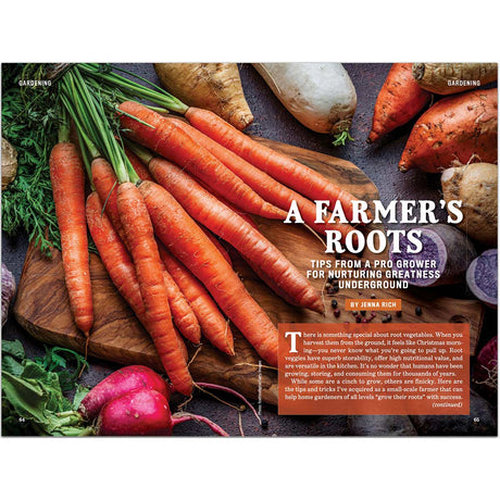The 2027 Old Farmer's Almanac - Easy-to-Read Oversized Softcover