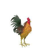 Napa Rooster Decor