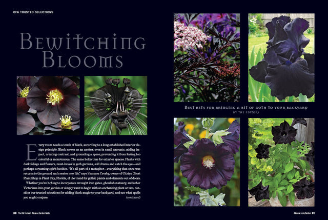 2026 Garden Guide - Print Edition