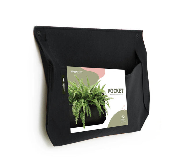 the one pocket wall planter shown at a slight angle to give a feel for the width of the planter in space