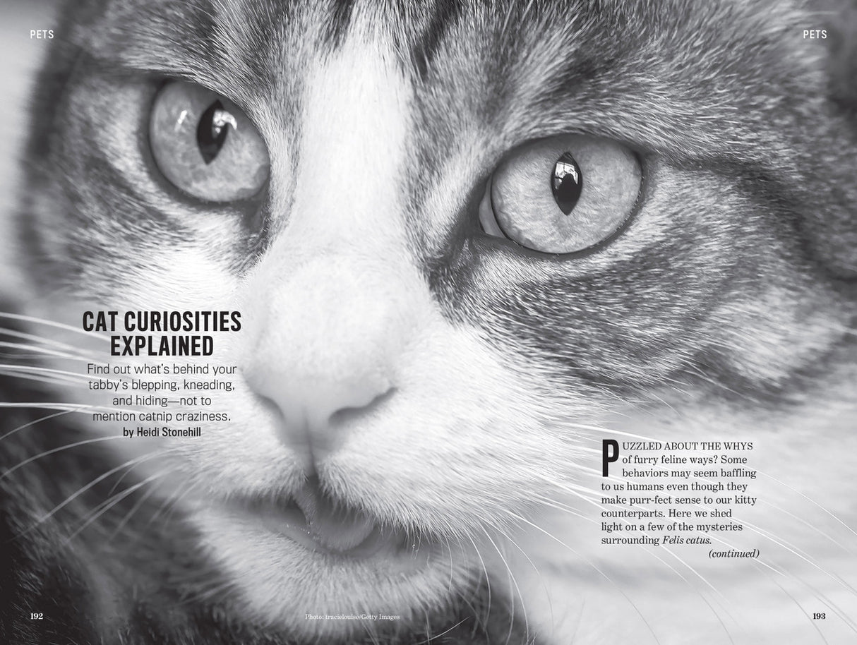 interior spread of the Almanac with a close up image of a cat's face with the text "Cat Curiosities Explained"