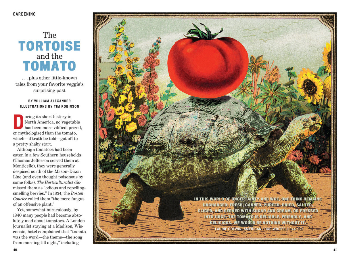 a spread with an image of a tortoise with a large tomato on its back alongside an article titled "The Tortoise and the Tomato"