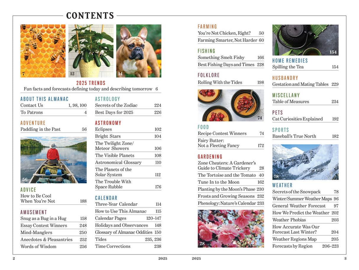 the table of contents