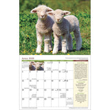 the interior page of the 2026 Country calendar open to the April page featuring a photo of two spring lambs