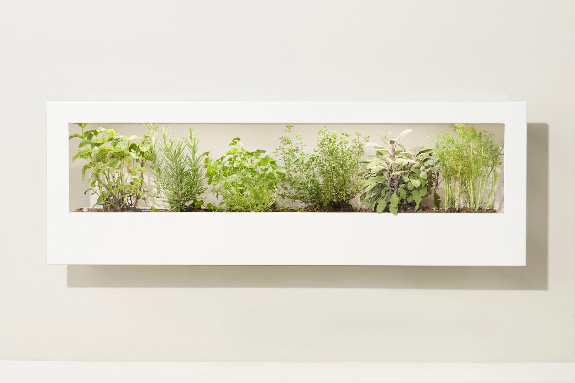 Modern Sprout Smart Landscape Growframe Planter - Thumbnail 2