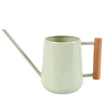 Indoor Watering Can