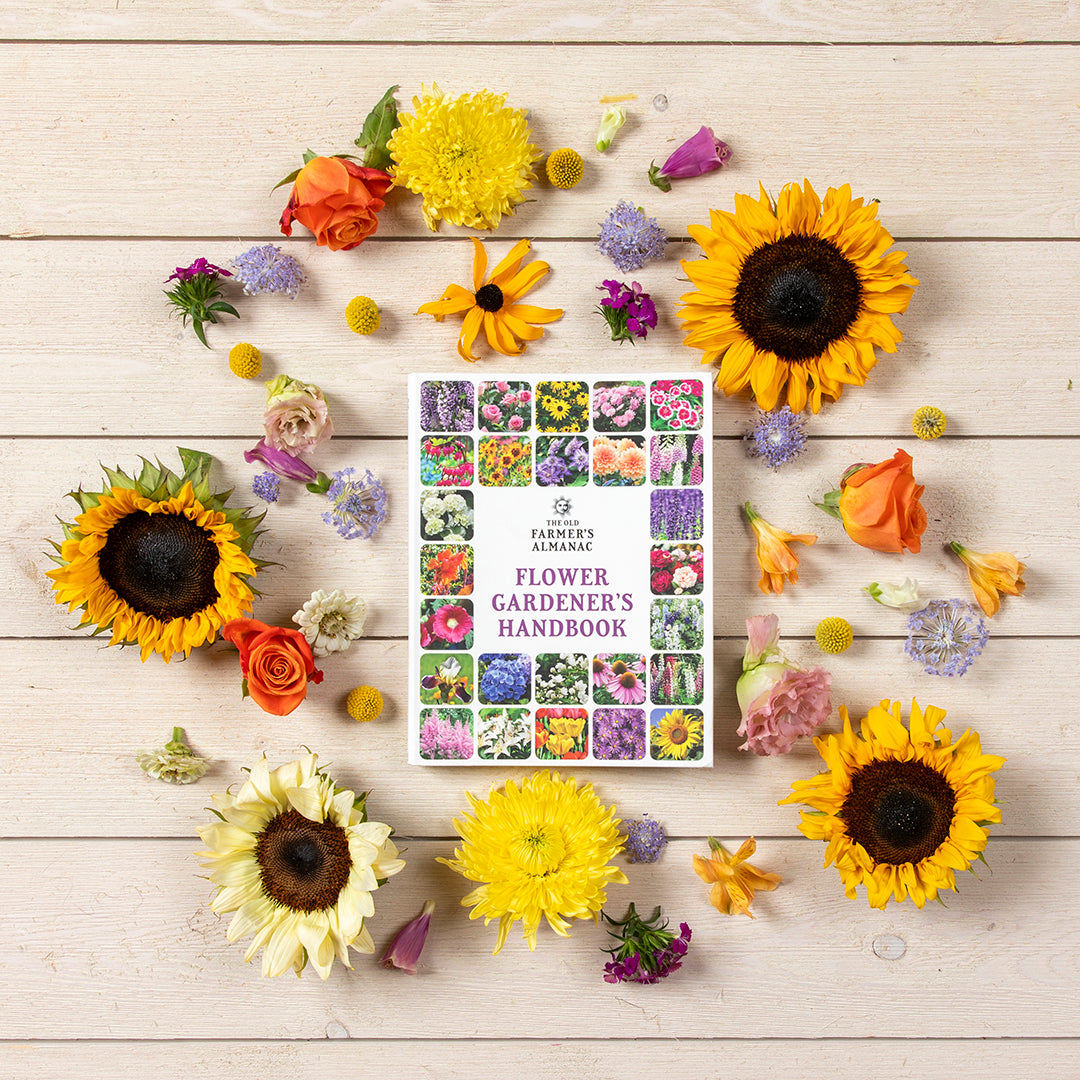 The Old Farmer's Almanac Flower Gardener's Handbook – The Old