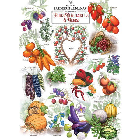 Illustration of fruits, vegetables, and herbs on a white background.
