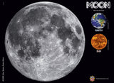 The Moon - 1000 Piece Puzzle