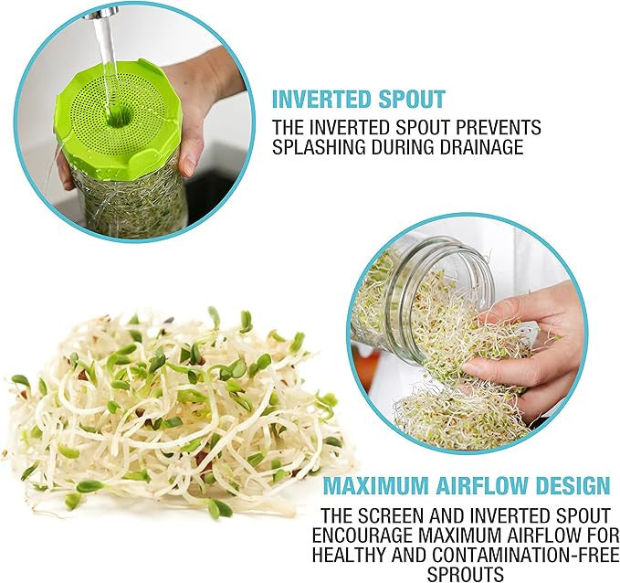 Mason Jar Sprouting Kit with Seeds
