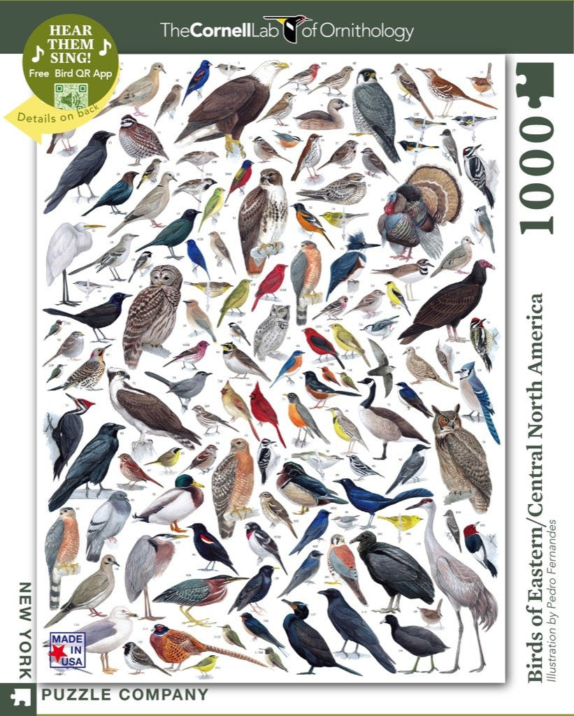 Birds of Eastern and Central North America Jigsaw Puzzle 1000 Piece