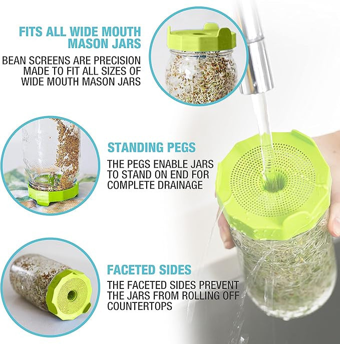 Mason Jar Sprouting Kit with Seeds