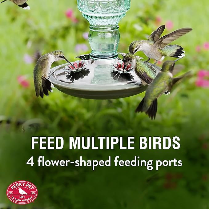 Antique Glass Bottle Hummingbird Feeder
