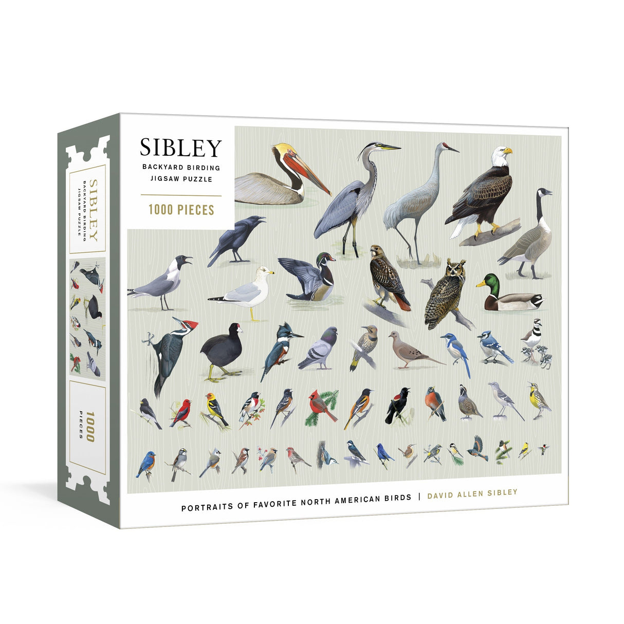 Sibley Backyard Birding puzzle box with bird illustrations on a white background