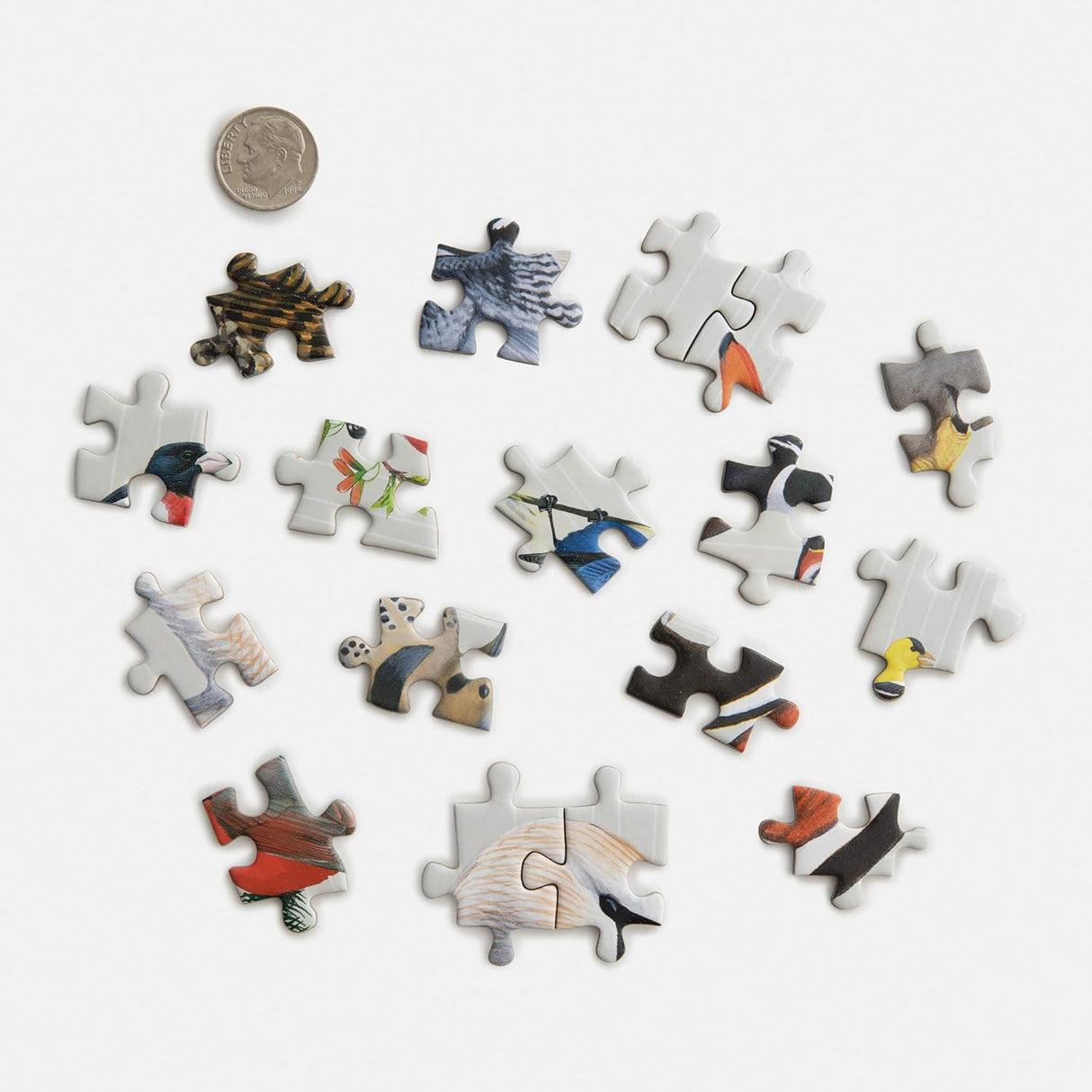 Set of puzzle pieces with bird illustrations next to a dime for scale on a white background
