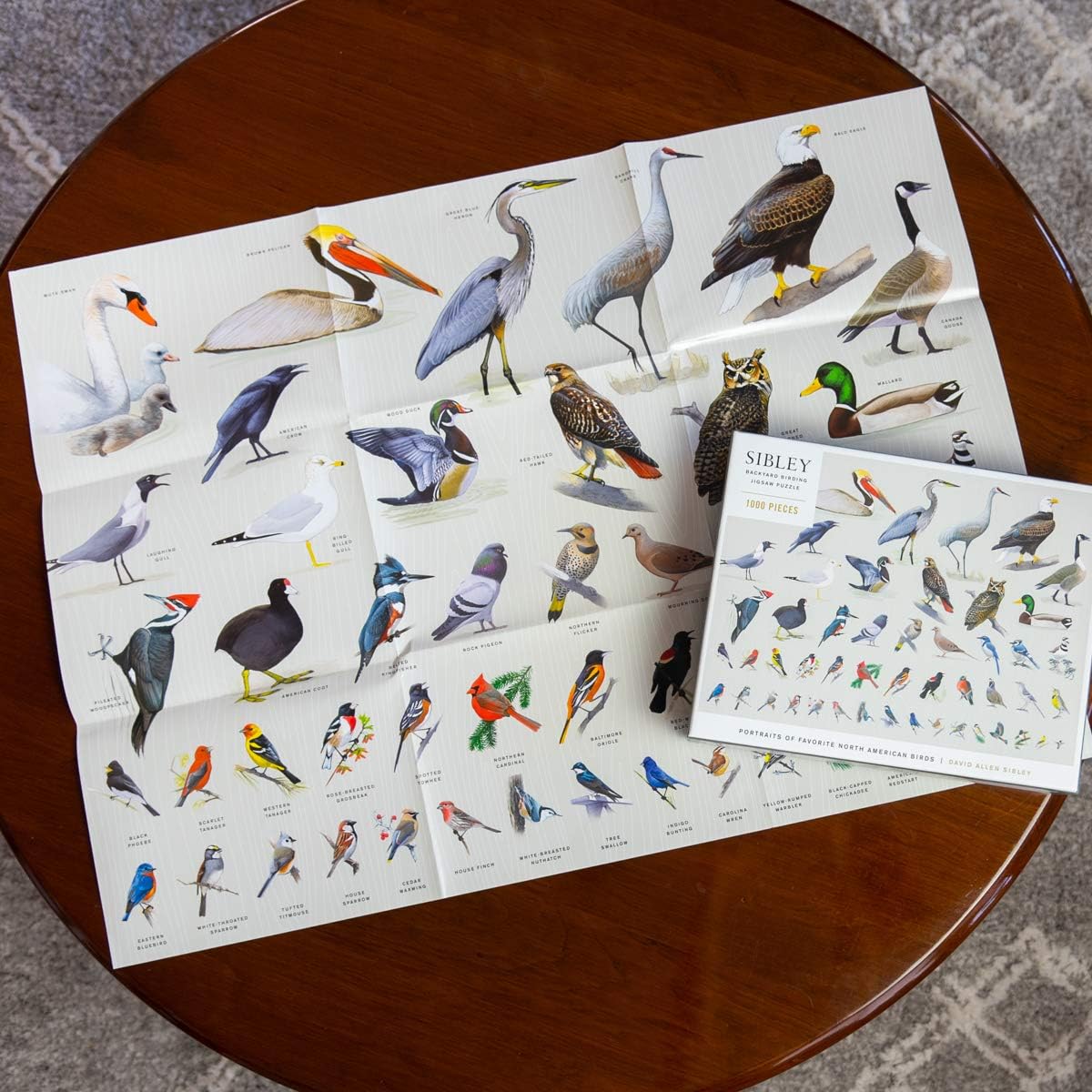 Collection of bird illustrations on paper sheets on a wooden table.