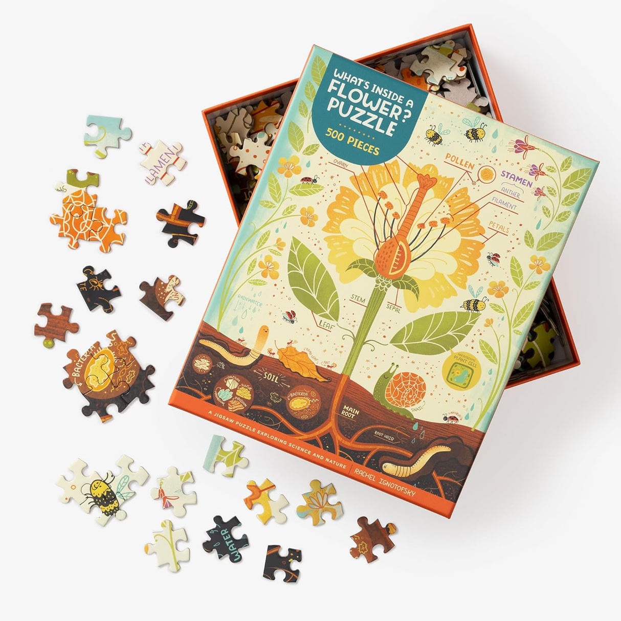 Flower puzzle with pieces and packaging on a white background