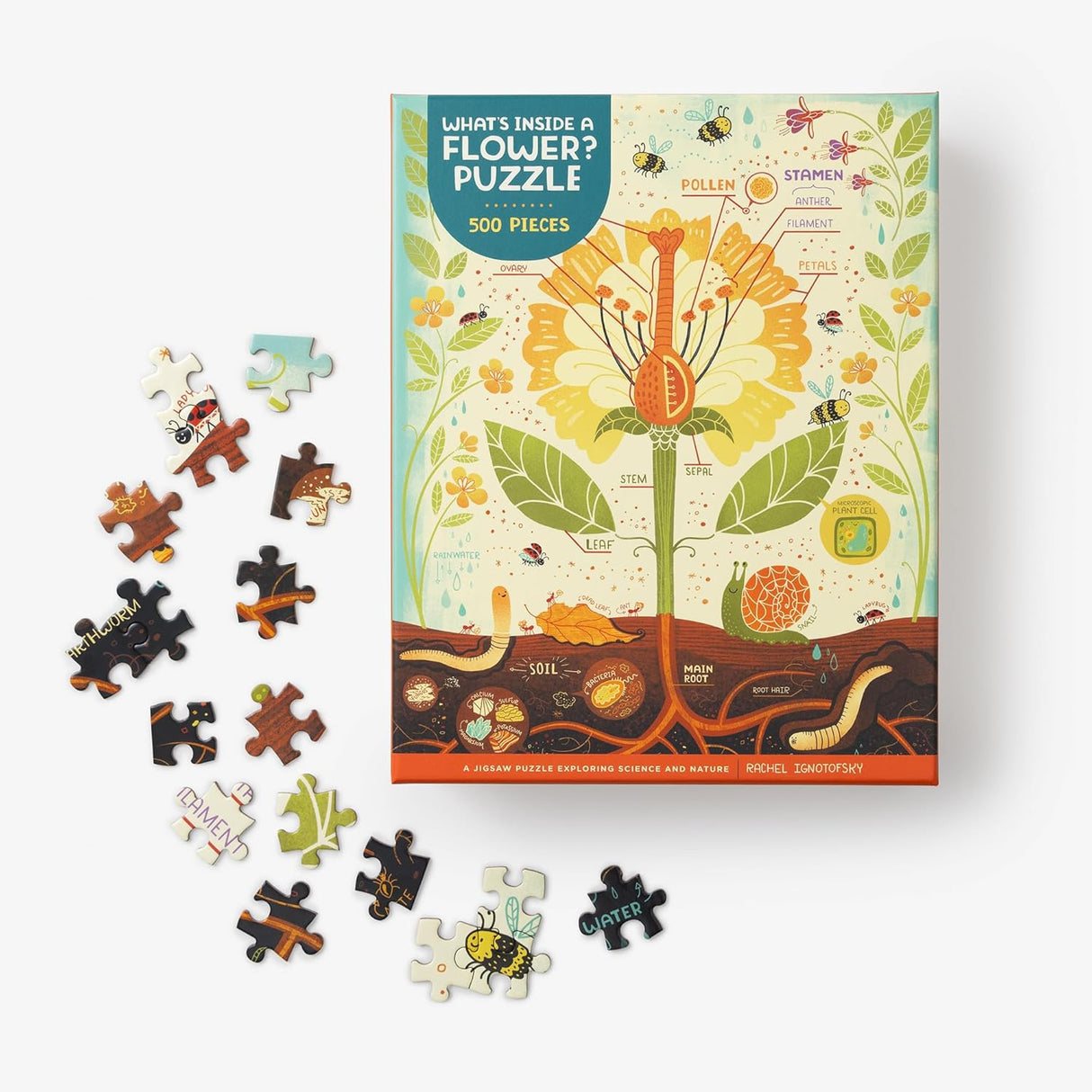 Flower puzzle with pieces and educational packaging on a white background