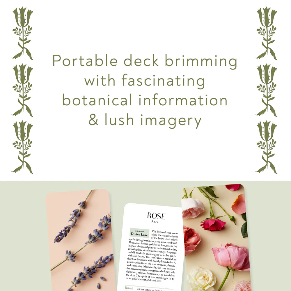 text reading "portable deck brimming with fascinating botanical information and lush imagery" above the lavender card, rose card, and the text side of the rose card
