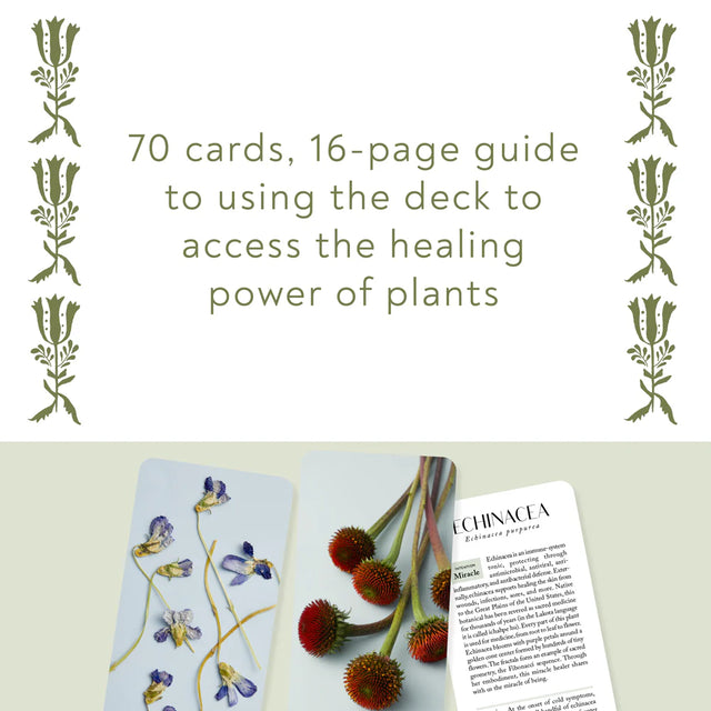 Card deck and guide with plant illustrations on a light background and text that reads "70 cards, 16 page guide to using the deck to access the healing power of plants"