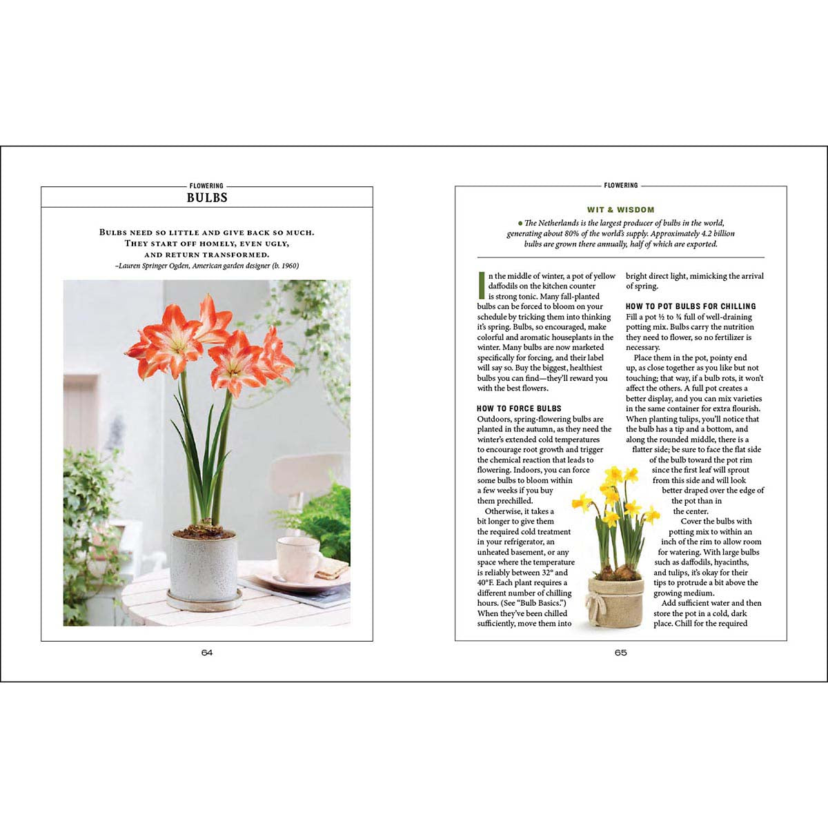 Houseplant Gardener’s Handbook