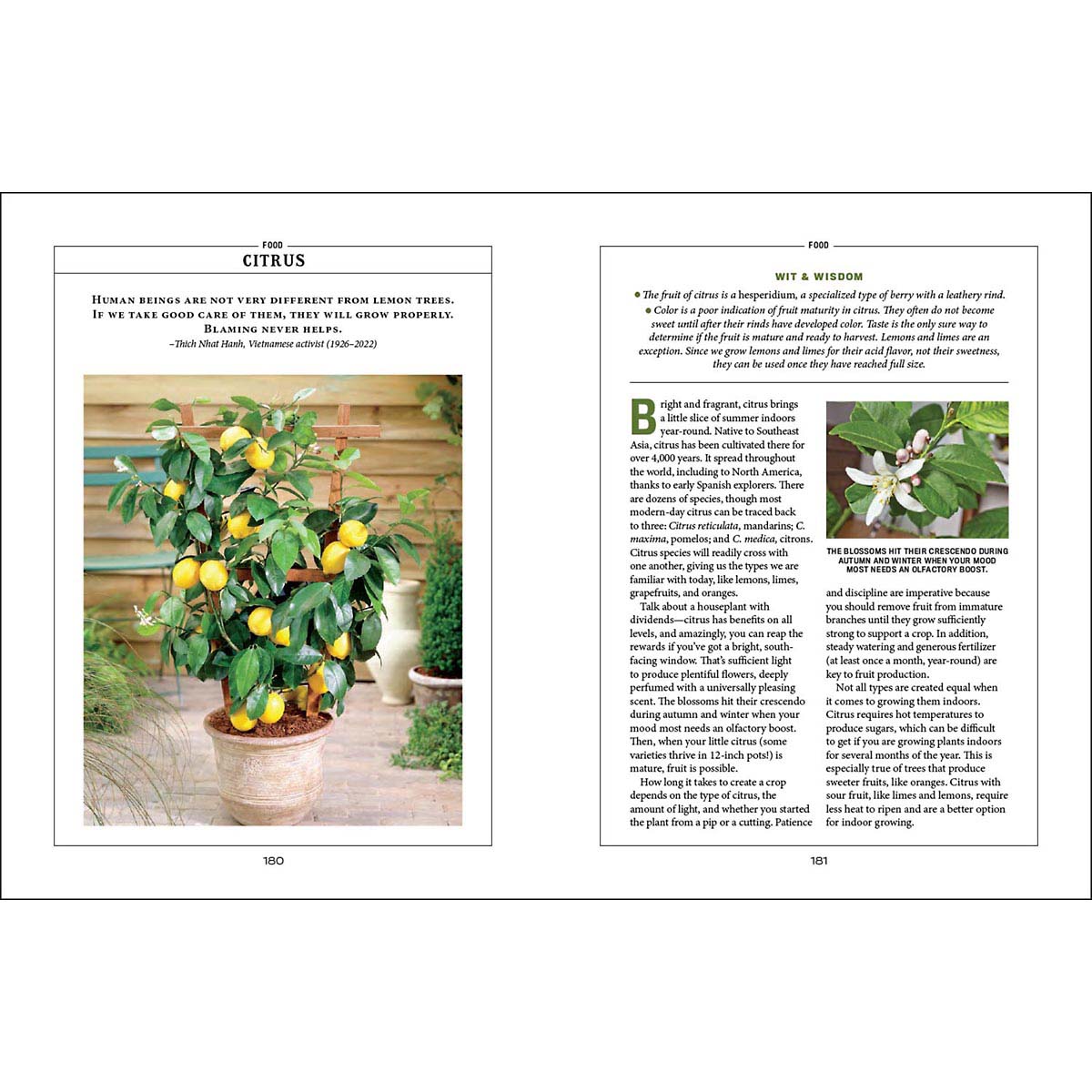 Houseplant Gardener’s Handbook