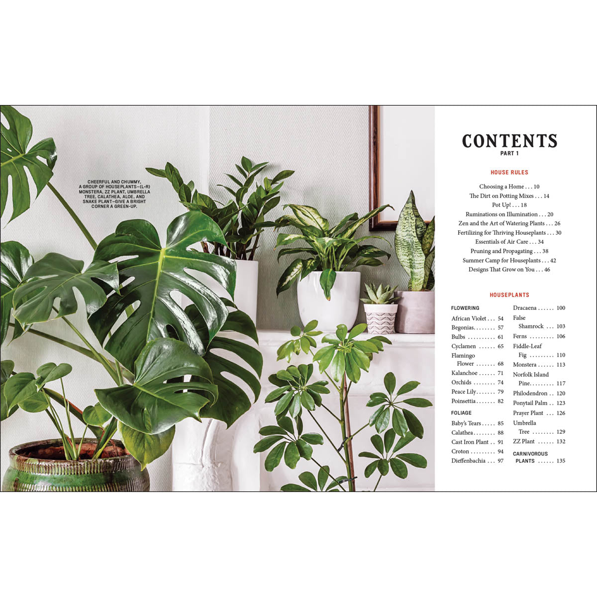 Houseplant Gardener’s Handbook
