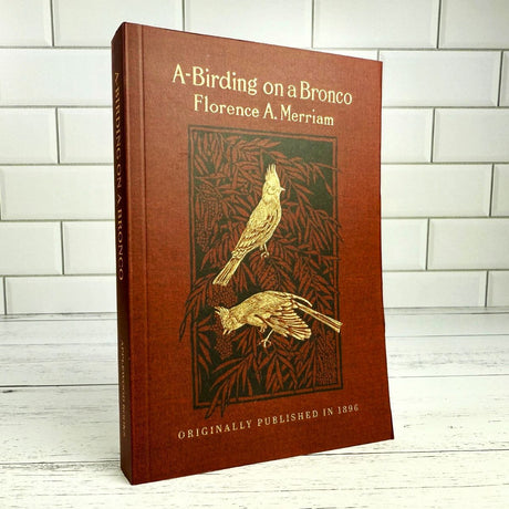 A-Birding on a Bronco